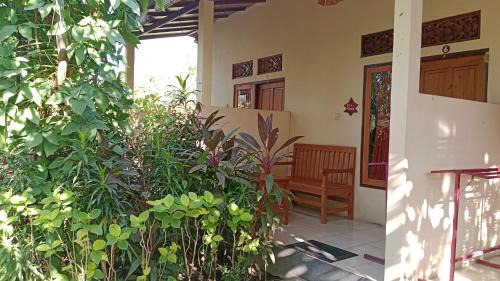 Pemuteran House | Van Santri Homestay Pemuteran