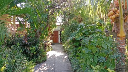 Pemuteran House | Van Santri Homestay Pemuteran