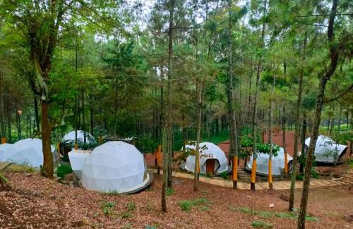 Sidomulyo Other | vanderman land camp