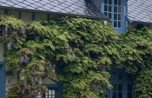 Saint-Valery-en-Caux House | Vaste et Charmante Maison, 12 Couchages