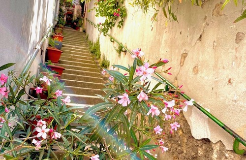 Vauban Apartment | Vauban:appartement D'artiste, Idéalement Situé, 10 min des Centres Touristiques