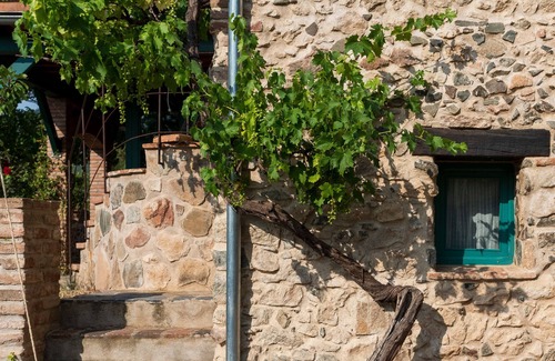 Alforja Cottage | Vegan Rural Cottage in the middle of Nature