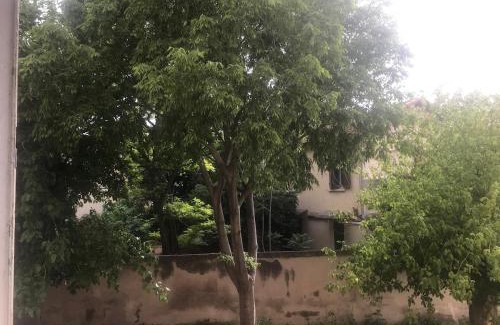 Sainte-Marguerite Apartment | velodrome stadium, apartment