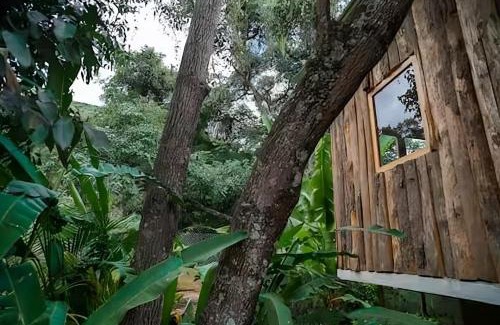 San Marcos La Laguna Cabin | Venga Atitlan