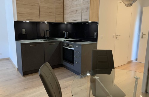 Divonne-les-Bains Apartment | Very attractive, fully-furnished, luxury T2 apartment 5 minutes' walk from the center.