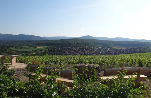 Rosenwiller House | Very charming half-timbered Alsatian house on the Alsace Wine Route