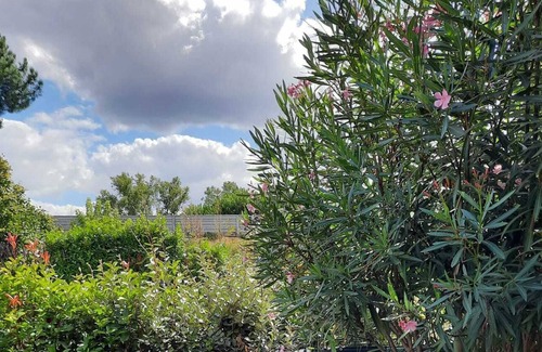 Villenave-d'Ornon Apartment | Very nice flat 1 bedroom tram C to Matmut Stadium Rugby World Cup