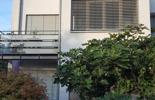 Oberwiehre Apartment | Very quiet, central city apartment (1.3km) with a large roof terrace