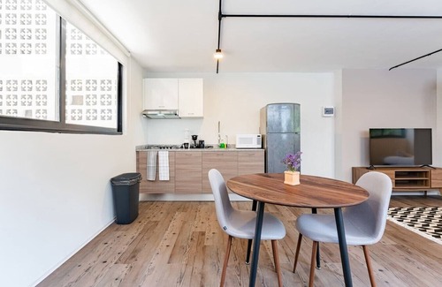 Roma Sur Apartment | VH | Loft Condesa + wifi and roof + washer | 253