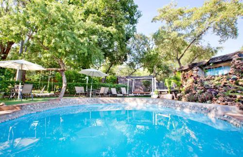 Victoria Falls Other | Victoria Falls Backpackers Lodge- Camp Sites