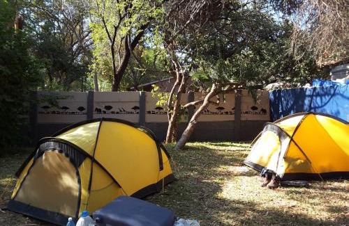 Victoria Falls Other | Victoria Falls Backpackers Lodge- Camp Sites