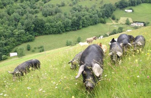 Bagneres-de-Bigorre House | Vie d'Estive