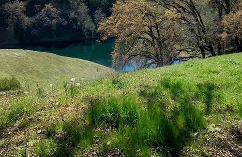 Ukiah House | VIEWS!! Last Minute/Longer Stay SPECIALS!