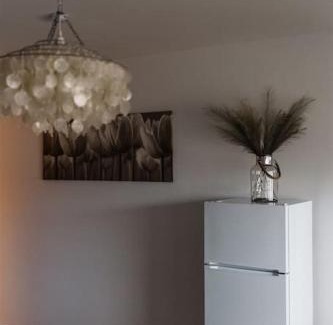 Jamsa Apartment | Viihtyisä yksiö lähellä palveluita. (Himos 7,9 km)