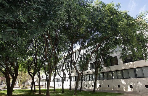La Vila Olimpica del Poblenou Apartment | Vila Olimpica Pamplona by Interhome