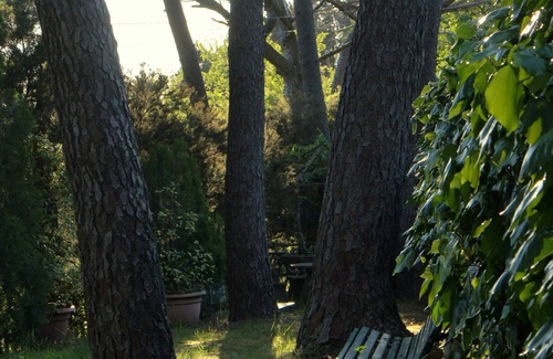 Massarosa Villa | Villa surrounded by green woods, with a wonderful view on the coast. FREE WIFI