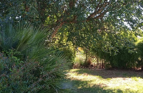 Naujac-Sur-Mer House | Villa 100 m² 10 mn from the ocean and 15 mn from the lake