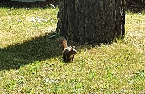 Saint-Brevin-l'Ocean Villa | Villa 140m2 beach and center on foot. In the heart of St Brevin the ocean. Comfort