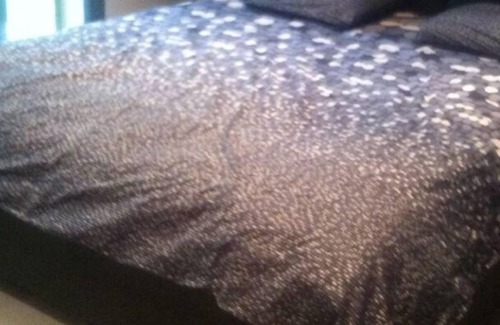 Vedene House | Villa 5 min from Avignon contemporary design villa with swimming pool