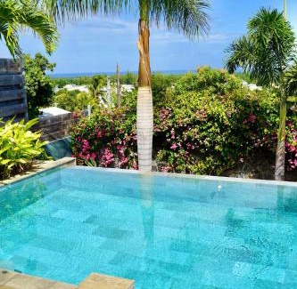 L'Etang-Sale Villa | Villa Acacias - Piscine et vue panoramique