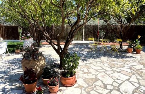 Aigialeia Apartment | Villa Achaia