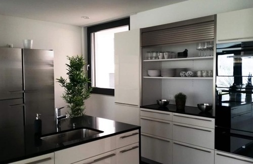 Sisikon House | Villa am See 3 - Beach House