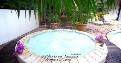 Entre-Deux House | Villa arbre du voyageur, 4 étoiles et 4 clévacances