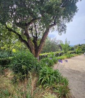 Cote d'Azur- French Riviera Apartment | Villa Argonaute