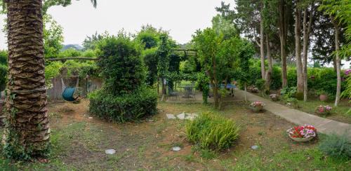 Tiberio Villa | Villa Aurora Caprese