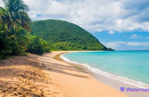 Cafeiere Villa | Villa Avec Piscine à 5 Minutes de la Plage de Grand Anse - Deshaies