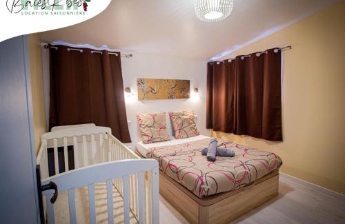 Le Tampon Villa | Villa Baies Roses - Piscine chauffée Ile de la Réunion