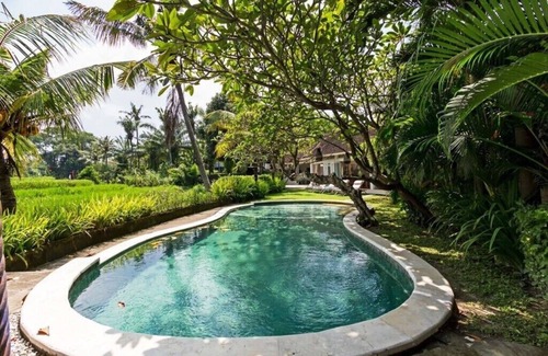 Padonan Villa | Villa Baru - 4 Bedrooms with Rice Field View