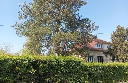 La Roche-Posay Apartment | Villa Beauregard Furnished Appartment La Roche Posay