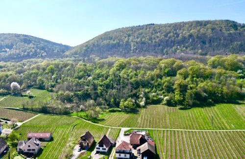 Gueberschwihr Villa | Villa BEST VIEW near Colmar- FREE PARK & WIFI