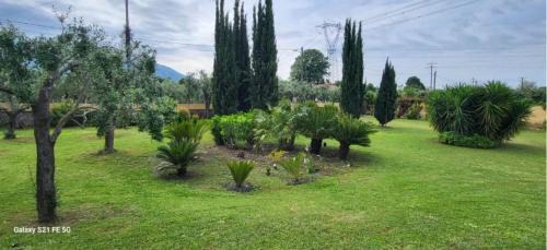 Pietrasanta Villa | Villa Bice in Versilia