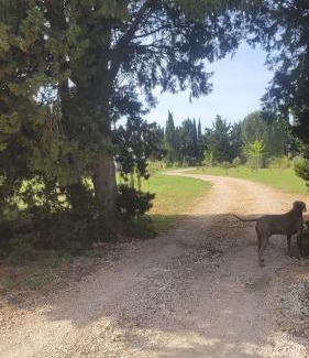 Arles House | Villa Blanche