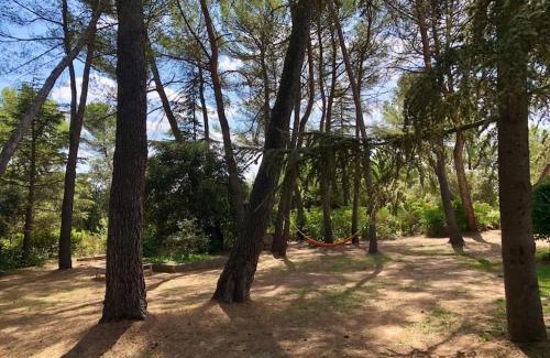 La Bastide-des-Jourdans Villa | Villa Bois Romay dans le Luberon avec piscine, tennis et pétanque.