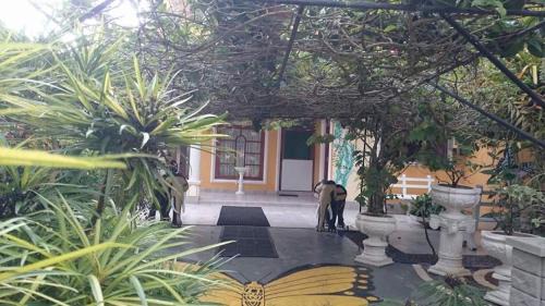 Hettimulla House | Villa Butterfly