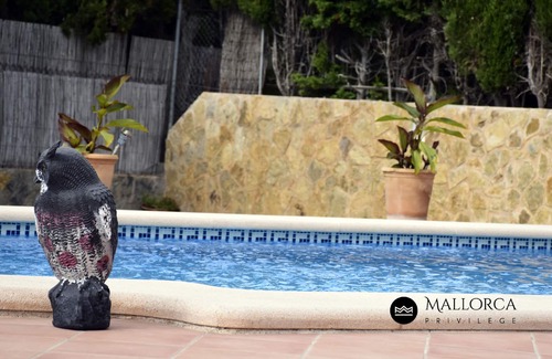 Porto Cristo Ski Chalet | Villa Ca's Nin Pool and views