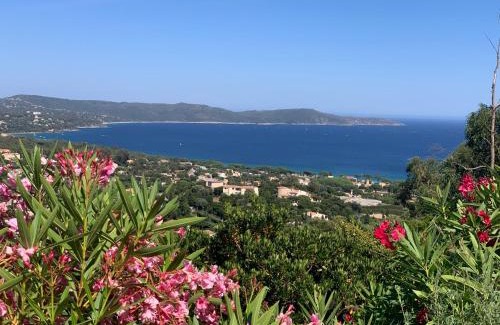 Cavalaire-sur-Mer Bed & Breakfast | Villa Cacharelle Vue Mer Piscine privative