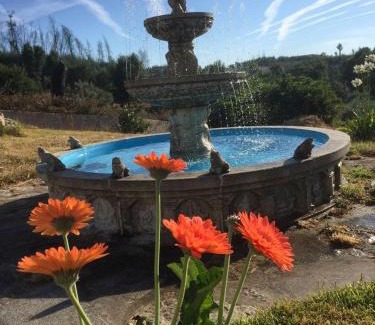 Pedrogao Grande Villa | Villa Casa da Rosa, com piscina privada