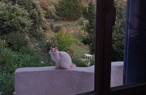 Peyrolles-en-Provence Bed & Breakfast | Villa, charming s/"Concors Ste Victoire "alt.400m, round swimming pool diam 10