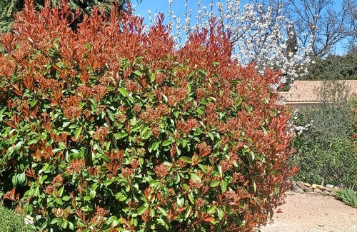 Flayosc Bed & Breakfast | Villa Chrisama bed and breakfast in quiet surroundings