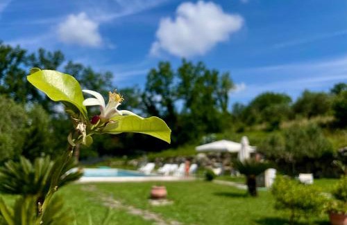 Sant'Agata de'Goti Villa | Villa con Piscina Donna Romina