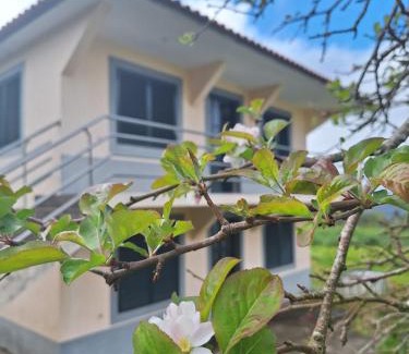 Sao Roque do Faial House | Villa Correia - Ribeiro Frio