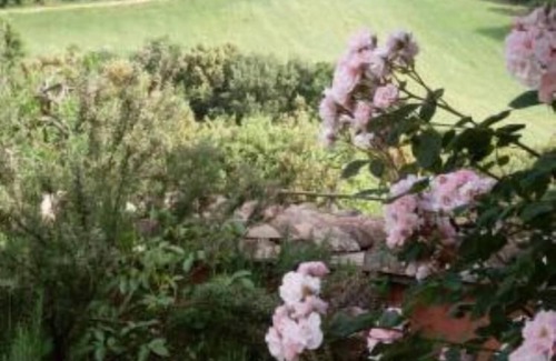 Narni House | Villa/Countryside house, in Umbria , close to Rome, Assisi, Perugia Florence