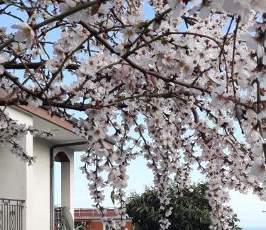 Boissano Apartment | Villa Cristina