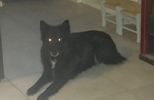 Souge-le-Ganelon House | Villa d Iska