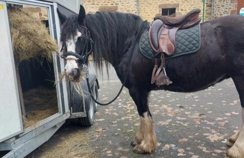 Souge-le-Ganelon House | Villa d Iska