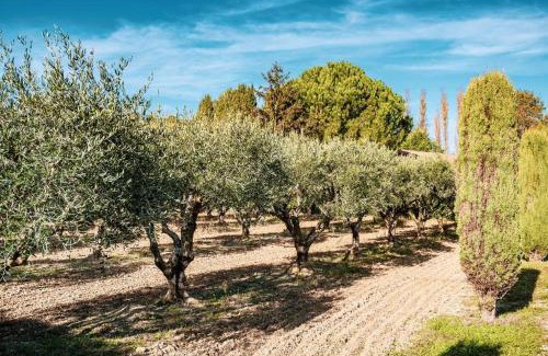 Eygalieres House | VILLA DE LA ROQUE